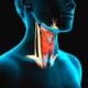 Thyroid Pituitary Glands Rheumatoid Arthritis